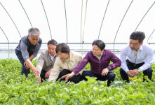 송미령 농식품부장관 성주참외 안정돼야 농업인·소비자가 행복