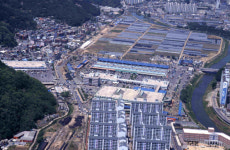 [대구농수산물도매시장의 과거·현재·미래] <상> 한강 이남 최대 도매시장