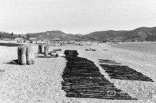 [김태형의 찰나의 순간 역사적 기록] <16> 바다의 보릿고개, 1962년 5월 경북 양포항