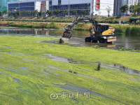 [포토뉴스] 경산 남천서 녹조 제거작업