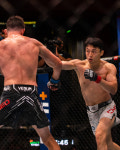'희비 엇갈린 대구 선·후배' 최두호, UFC 복귀전서 KO승…이정영은 TKO 패