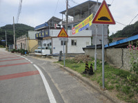 나 홀로 교통사고 많은 농촌…도시보다 위험도도 더 높다