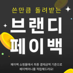 뉴넥스, 쇼핑앱 브랜디에 페이백 서비스 도입
