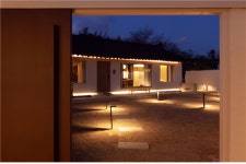 [MZ 한바퀴] 반려견과 청도에서 감성 폭발! 산책, 카페, 펜션까지 완벽 코스