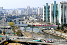 [김태형의 찰나의 순간 역사적 기록] <23> 1958년 대구 신천 푸른다리