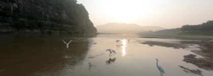 미디어아트로 만나는 아름다운 동쪽, 안동