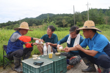 [화보] 몸빼 입고 농촌 일손 거든 조국, 막걸리 새참은 盧 연상