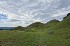 [양진오의 대구경북의 ‘집’ ] <4>대가야인이 지은 숭고한 집, 고령 고분군