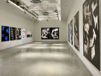 [전시속으로] 좀 더 자유롭게, 좀 더 과감하게…유주희 개인전