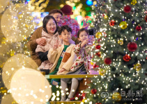 [포토뉴스] 연말 밝히는 별빛랜드