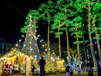 [포토뉴스] 연말 밝히는 별빛랜드