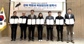 60여년전 안동에서 사라진 먹황새 복원 나선다