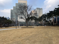 그 많던 나무 어디갔나 22억 들여 재단장한 2·28 기념중앙공원에 시민 반응 싸늘