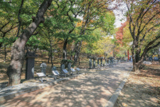 [팔도핫플레이스] 알려지지 않은 경산의 속살 경산 5경