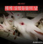 [박순석의 동물병원 24시]  우주의 문을 연 강아지 라이카