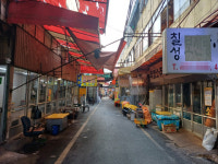 개 식용 종식 김건희법 시행 반년, 농장 10곳 중 4곳 폐업