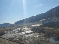 감시 철저 경주시 약속에도 대종천·용동천 여전히 불법에 몸살