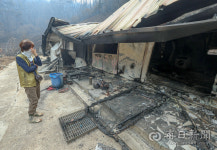 경북 북동부 5개 시·군 2572채 잿더미…이곳이 바로 전쟁터