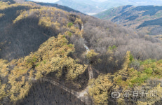 경북 북동부 산불의 교훈…임도 확충 또한 시급한 과제