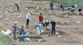 [포토뉴스] 팔현농장 텃밭 분양받은 도시농부들