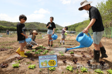 [포토뉴스] 팔현농장 텃밭 분양받은 도시농부들