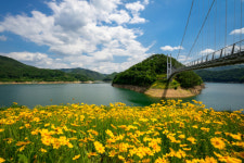 [호텔관광특집] 서천 원당천 영주호 봄꽃 명소 걸으며 쌓는 봄날의 추억