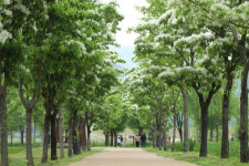 [팔도 핫플레이스] 4계절, 4매력 넘치는 거창 창포원