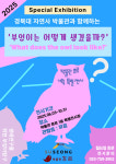 박물관 휴르 특별전 부엉이는 어떻게 생겼을까? 개최