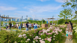 꽃정원이 된 구미 다온숲, 수국도 보고, 인생샷도 찍고