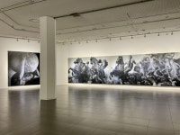 [포토뉴스] 대구 중견작가들의 작품 세계에 빠져보세요…리딩 아티스트展