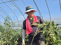 대구 달서구을 당협, 합천 수해 지역 찾아 봉사활동