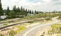 [팔도핫플레이스] 충남 아산 신정호 생태·문화·관광이 어우러진 녹색 거점