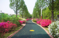 [팔도핫플레이스] 충남 아산 신정호 생태·문화·관광이 어우러진 녹색 거점