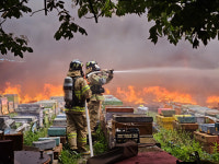 청송 현서면 양봉장 화재…벌통 40여개 소실