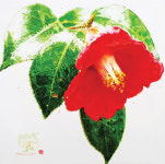 대구수채화협회, 65회 정기전 및 미술대전 수상작 전시