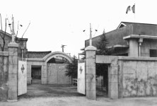 [오동욱의 대구문화 오디세이] 경제적 구국, 한국 산업화의 견인차