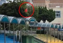 태극기는 안 보이고 중국 국기만…서울 초교 오성홍기 논란, 해명은?