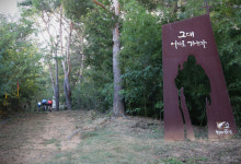[김도훈 기자의 아웃도어 라이프] 길 위에서 나를 돌아보다…1박2일 칠곡 한티가는길