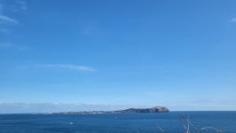 [함께 꿈꾸는 시] 송화 바다로 가는 길