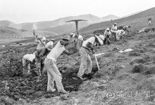 김태형의 찰나의 순간 역사적 기록 <50> 1965년 근대유산, 하양 무학농장