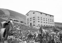 김태형의 찰나의 순간 역사적 기록 <50> 1965년 근대유산, 하양 무학농장