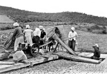 김태형의 찰나의 순간 역사적 기록 <50> 1965년 근대유산, 하양 무학농장