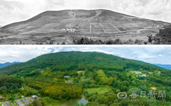 김태형의 찰나의 순간 역사적 기록 <50> 1965년 근대유산, 하양 무학농장