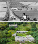 김태형의 찰나의 순간 역사적 기록 <50> 1965년 근대유산, 하양 무학농장