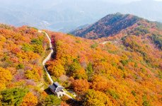 인생의 길, 성주가야산에서 만나다