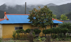 [이종민의 나무오디세이] 병 주고 약 주는 옻나무, 화려한 가을 변신