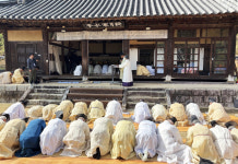 퇴계 종가 17세손 이치억 새 종손 취임 吉祀 진행