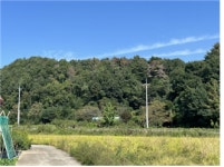 [관심 공매] 경상북도 경주시 내남면 덕천리 전 등