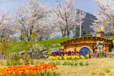 [대구 편입 30년, 중심이 된 달성] ⑤풍경과 이야기가 있는 관광