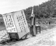 [김태형의 찰나의 순간 역사적 기록]  1974년 통일벼 추곡 수매